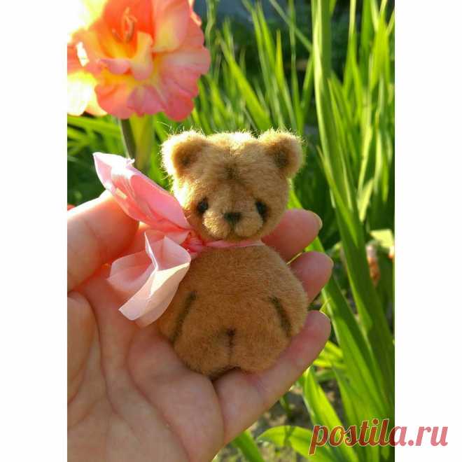 Сшился у меня на море, вот такой кроха! Дом нашел!