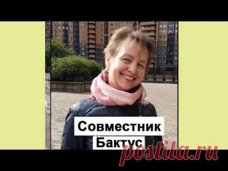 Бактус ЗВЕЗДОЧКА⚡Бесплатный совместник⚡Вязание на вязальной машине оригинального бактуса⚡ #shorts