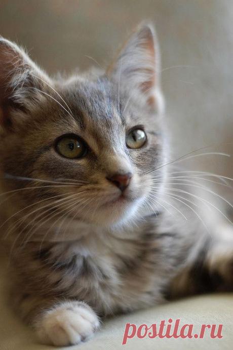 DSC_0800 | Flickr - Photo Sharing!