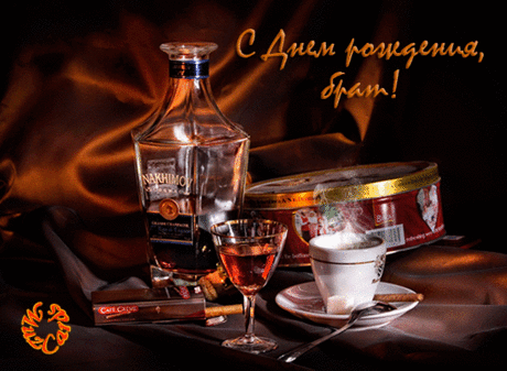 brat6.gif (650×476)