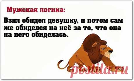 Выпуск №3082 - выпуск анекдотов сайта вокруг смеха