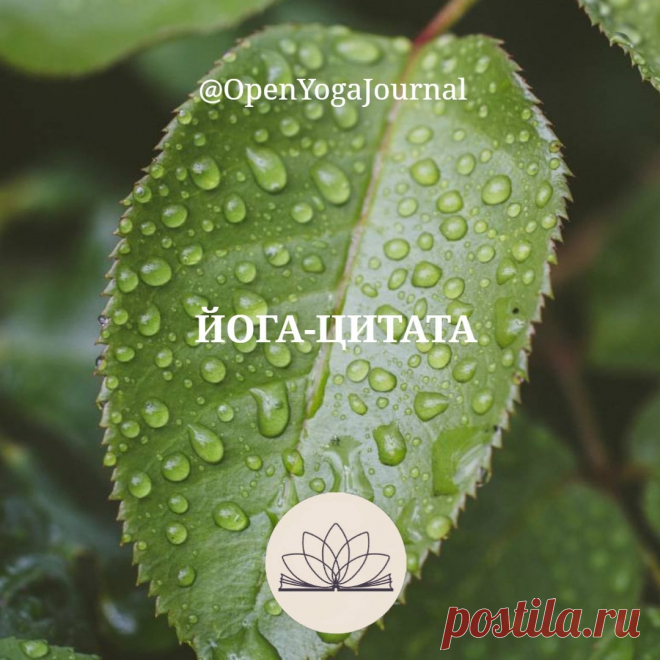 ЙОГА-ЦИТАТА: Очищение тела не должно быть самоцелью
Тело — это инструмент, с помощью которого мы можем достичь высот в йоге. Очищать тело необходимо, однако само очищение не должно становится смыслом всей жизни и самоцелью. В этом вопросе также следует проявлять здравый смысл и избегать крайностей. Очистительные практики нам нужны для поддержания чистоты тела, а чистое тело для духовного развития.