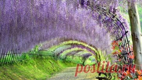 Самые живописные уголки Японии | Все о туризме и отдыхе