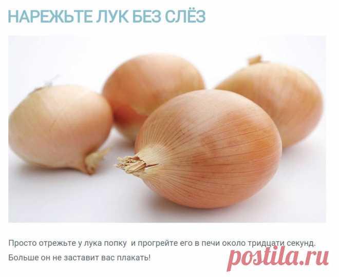 НАРЕЖЬТЕ ЛУК БЕЗ СЛЁЗ.