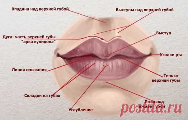 Академия Живописи Онлайн