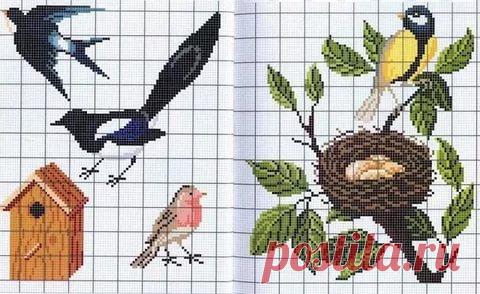 вышивка мелких птичек гладью рисунки птичек: 11 тыс изображений найдено в Яндекс.Картинках
