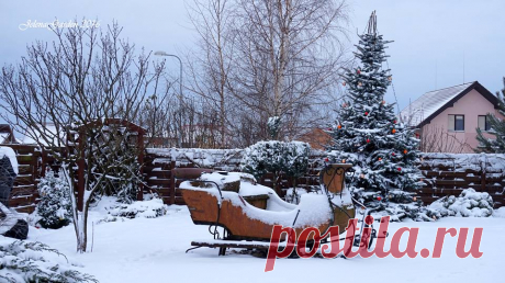 Зимняя сказка Смайлик «smile» 2016 01 15 Литва, город у моря- Клайпеда