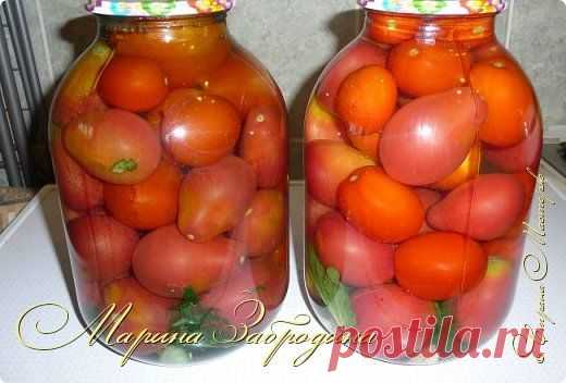 Помидоры консервированные | Страна Мастеров