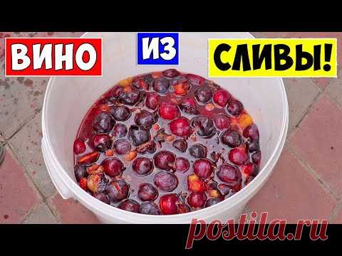 ВИНО ИЗ СЛИВЫ / Сливовое вино / Простой рецепт / Plum Wine!