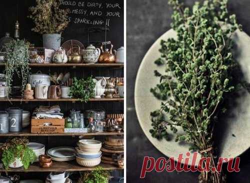 КАК ХРАНИТЬ ПРОДУКТЫ: СОВЕТЫ ИЗВЕСТНЫХ КУЛИНАРОВ.