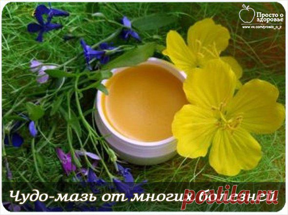 5 рецептов чудо-мазей на все случаи жизни! | ЖЕНСКИЙ МИР