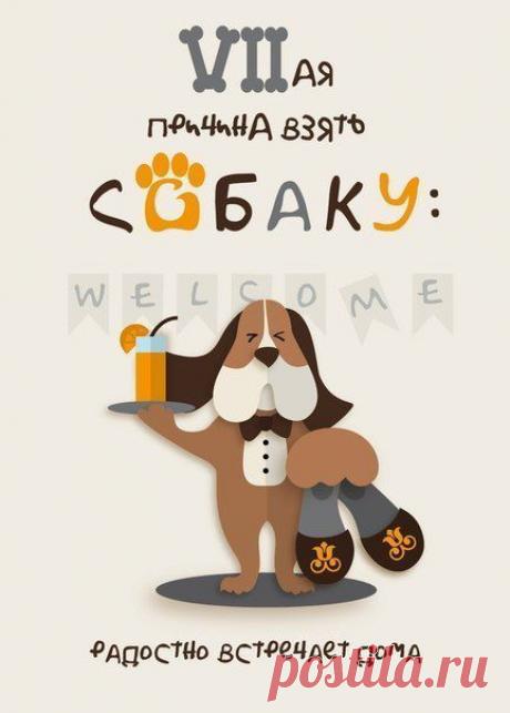 Семь причин завести собаку