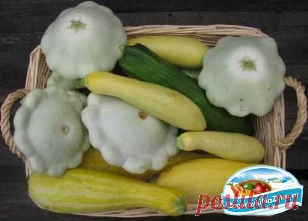 Заготовки из патиссонов