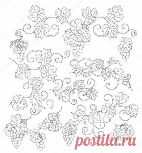 Фотообои на заказ - Vector design elements in vintage style with vines. | Фотообои на заказ