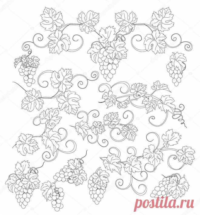 Фотообои на заказ - Vector design elements in vintage style with vines. | Фотообои на заказ