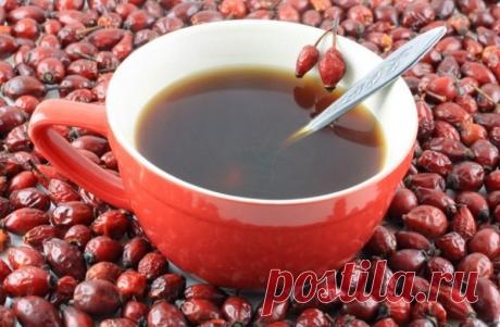 5 целебных настоев и отваров из шиповника / Будьте здоровы