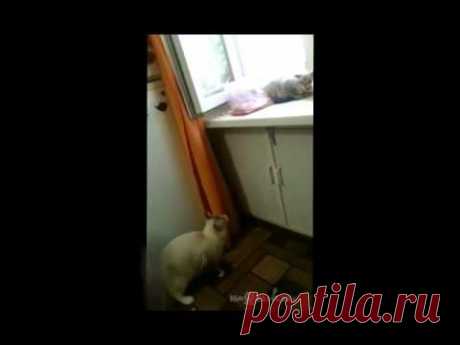 Who is there? / Да кто же там сидит? - YouTube