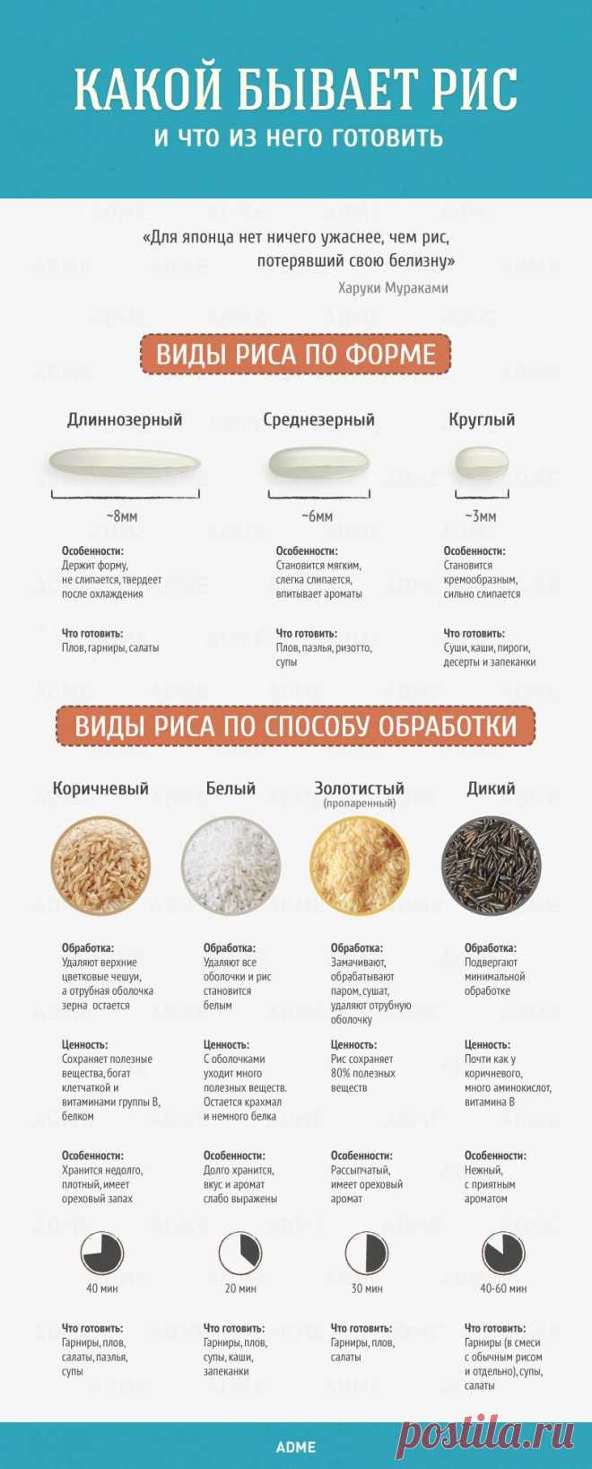 Гид по кухне и готовке