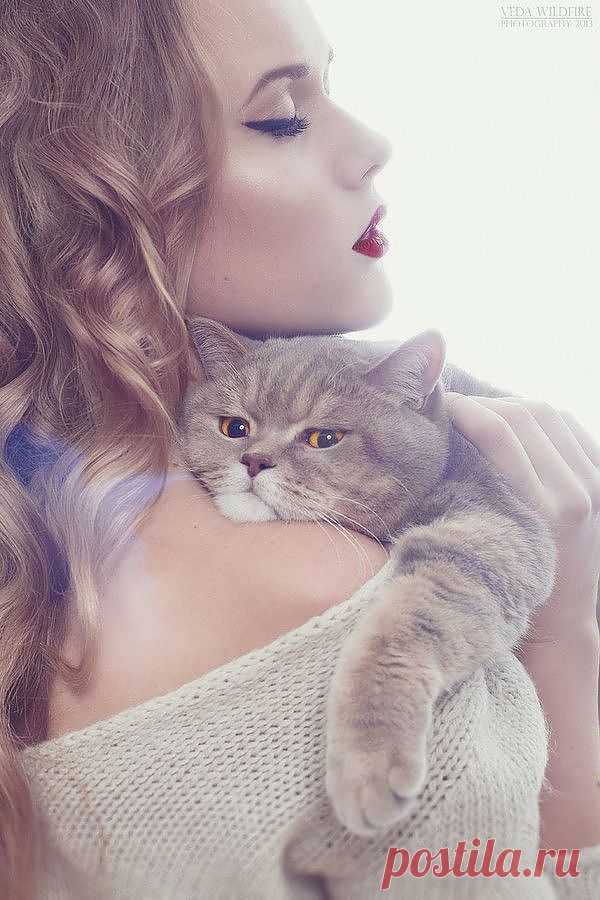 Мой котик подойди,ложись ко мне на грудь,но только когти убери сначала.Хочу в глазах твоих красивых потонуть - агатах с отблеском металла.Как я люблю тебя ласкать,когда пушистой привалясь щекою,ты электрический зверек мой в тишине.Мурлычешь под моей рукою.(Шарль Бодлер) (волшебная страна книг)