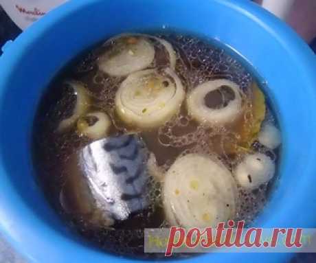 Соленая скумбрия - пошаговый фото рецептКулинарные рецепты