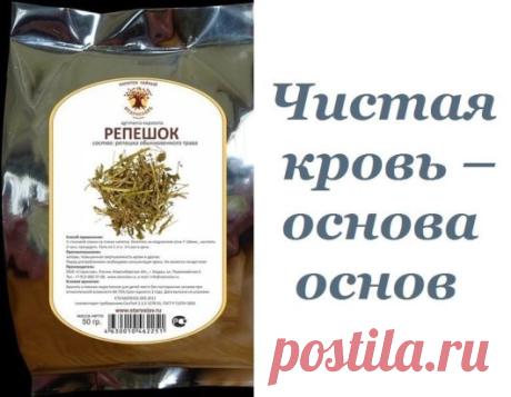Мой старший брат Саша — врач- кардиолог. Он часто со мной проводит просветительские беседы, рассказывает много интересного. Саша говорит, что состав и чистоту крови во многом определяет качество жизни любого организма. Если в крови каких-либо «составляющих» появляется значительно больше или, наоборот, меньше нормы, то развиваются заболевания. Поэтому очищение крови — один из способов оздоровления организма. В старину большинство болезней медики объясняли «дурной кровью», к...