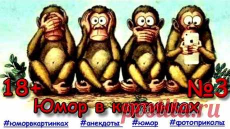 Анекдоты В Картинках На Пикантные Темы №3 Юмор в картинках. Фото приколы. Карикатуры. Лучшие смешные анекдоты для настроения!

Анекдоты в картинках. Фото приколы юмор ☺, анекдоты в картинках, юмор картинки приколы анекдоты.

Канал
#дачныйпартизан

Дача своими руками
#дачасвоимируками #самоделкидлядачи #идеидлядачи 

Черный юмор
#юморвкартинках #анекдотывкартинках #фотоприколы #юмор #картинки

Про автомобили
#авто   #автоприколы
---------------------------------------
✔ Под...