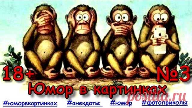 Анекдоты В Картинках На Пикантные Темы №3 Юмор в картинках. Фото приколы. Карикатуры. Лучшие смешные анекдоты для настроения!

Анекдоты в картинках. Фото приколы юмор ☺, анекдоты в картинках, юмор картинки приколы анекдоты.

Канал
#дачныйпартизан

Дача своими руками
#дачасвоимируками #самоделкидлядачи #идеидлядачи 

Черный юмор
#юморвкартинках #анекдотывкартинках #фотоприколы #юмор #картинки

Про автомобили
#авто   #автоприколы
---------------------------------------
✔ Под...