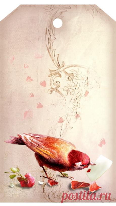 RLY7eTPl6NA.jpg (576×1024)