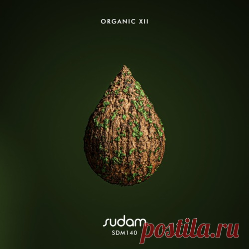 VA - Organic XII free download mp3 music 320kbps