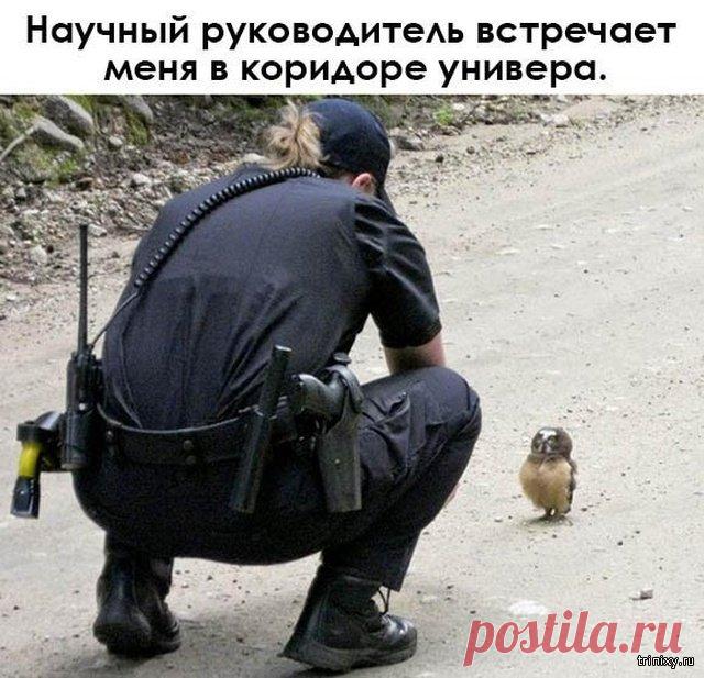 Смешных картинок пост (20 фото) . Тут забавно !!!