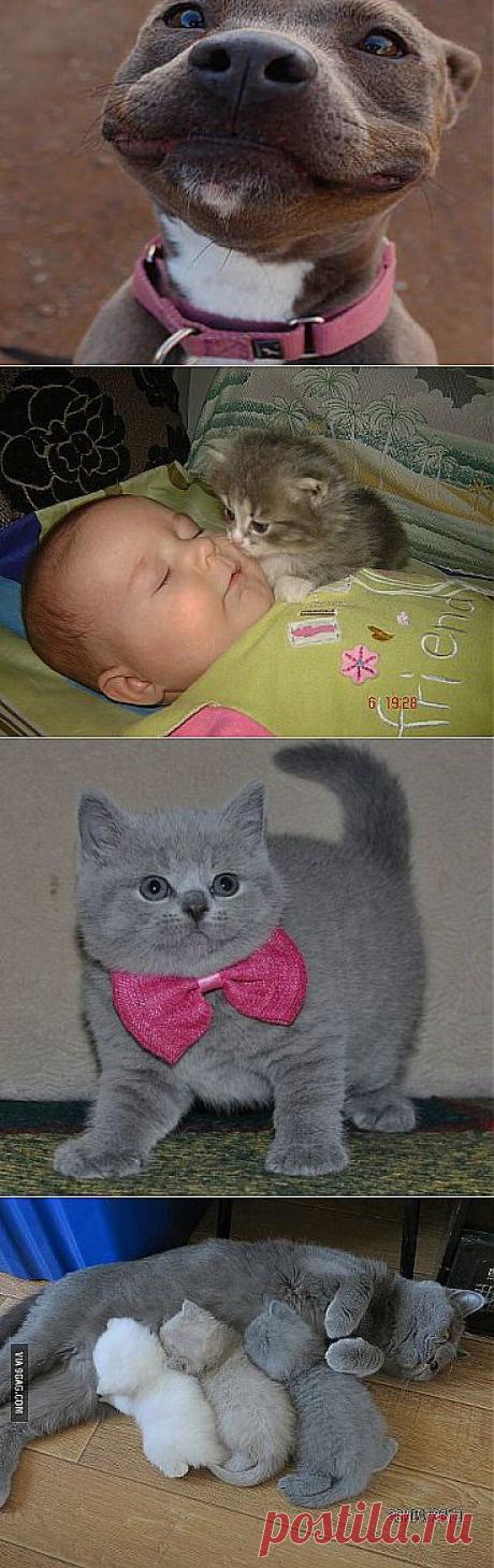 Вам сообщение!