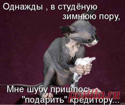 Многие хорошо умеют делать только одно — копать себе «кредитную яму». По статистике, 40 миллионов человек в нашей стране имеет кредиты.
А человек с кредитами в кризис будет находиться, буквально, «между молотом и наковальней».Большинство людей не может достичь финансового благополучия потому, что не знают как это сделать и с помощью каких финансовых инструментов.
Показать полностью…