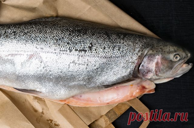 Не хуже семги, но гораздо дешевле. Как правильно приготовить горбушу Как выбирать и готовить недорогую красную рыбу — горбушу, рассказывает профессионал.