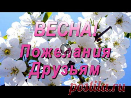Весна! Весенний привет Друзьям! Для друзей красивые пожелания. Друзья, привет! Самые красивые весенние пожелания для друзей. Весна в цвету, я Вам желаю счастья и радости сполна!...