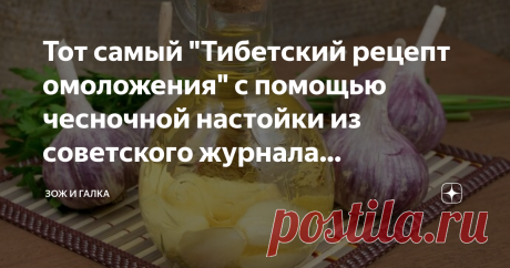 Тот самый "Тибетский рецепт омоложения" с помощью чесночной настойки из советского журнала "Здоровье" Помню, моя бабушка лечилась какой-то  чесночной настойкой, запах корой мне тогда очень не нравился. У меня сохранились вырезки из журнала "Здоровье", которые собирала бабушка
