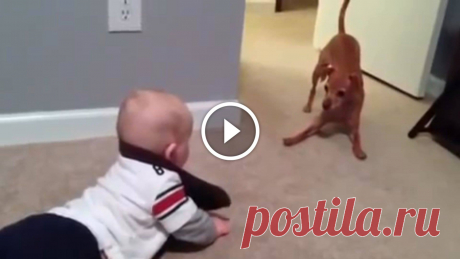 Funny Baby vs Playful Puppy