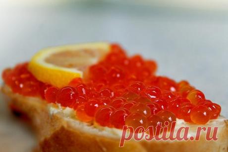 Вред красной икры: кому опасно лакомиться популярным новогодним деликатесом