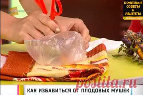 Одноклассники