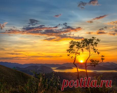 Планирую проснуться рано —
Едва зажгутся облака.
А остальные пункты плана
Я не наметила пока.
А остальное я намечу,
Когда увижу, что жива.
Тогда на семь назначу встречу
С туманным утром, а на два —
С дневным лучом, что встречи скорой
Дождавшись, примется плясать,
А после — с вечером, который
Тихонько будет угасать. Лариса Миллер
ДОБРОГО УТРА!!! СЧАСТЛИВОГО ДНЯ!!!