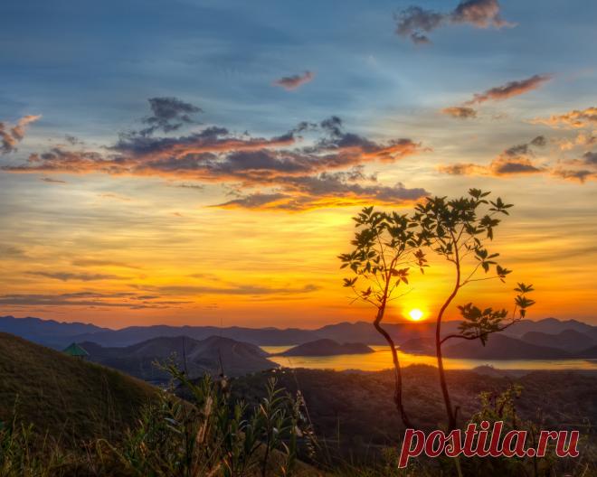 Планирую проснуться рано —
Едва зажгутся облака.
А остальные пункты плана
Я не наметила пока.
А остальное я намечу,
Когда увижу, что жива.
Тогда на семь назначу встречу
С туманным утром, а на два —
С дневным лучом, что встречи скорой
Дождавшись, примется плясать,
А после — с вечером, который
Тихонько будет угасать. Лариса Миллер
ДОБРОГО УТРА!!! СЧАСТЛИВОГО ДНЯ!!!