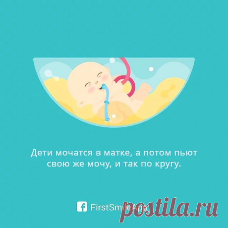 12 шокирующих фактов о беременности, о которых вы еще не знали - onedio.ru