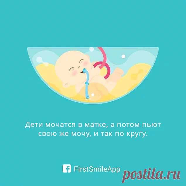 12 шокирующих фактов о беременности, о которых вы еще не знали - onedio.ru