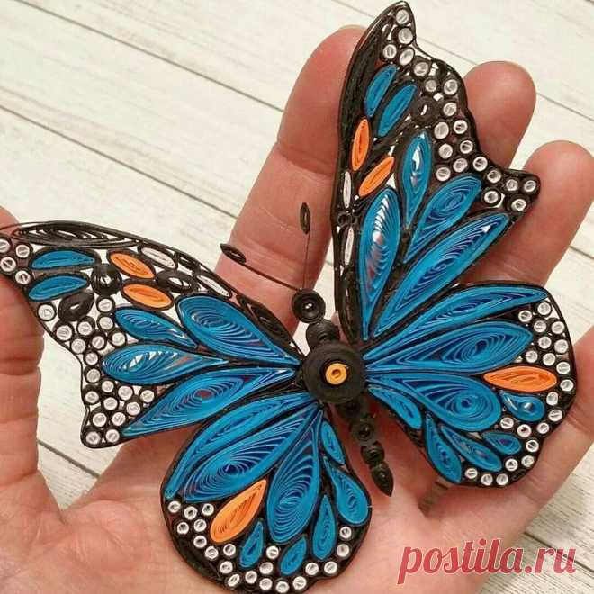 Квиллинг идеи telkarı Quilling tasarımları, Kağıt sanatı ve Kelebekler в Яндекс.Коллекциях