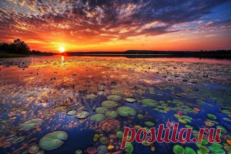 «Закат в Нью-Гэмпшире» — карточка пользователя Наталья Жорова в Яндекс.Коллекциях