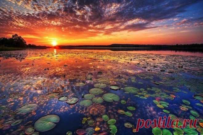 «Закат в Нью-Гэмпшире» — карточка пользователя Наталья Жорова в Яндекс.Коллекциях