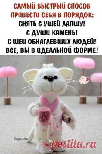 Фраза дня