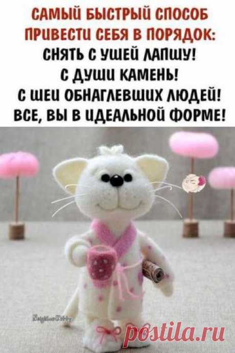 Фраза дня