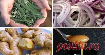 14 мощных природных антибиотиков, борющихся с инфекцией лучше химических лекарств — Journal women❜s