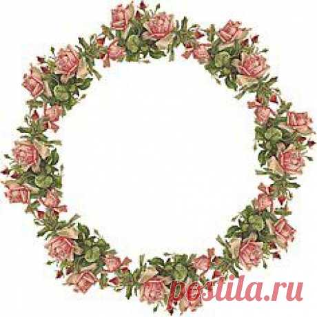 Old roses | Rose Prints, Graphics and Art