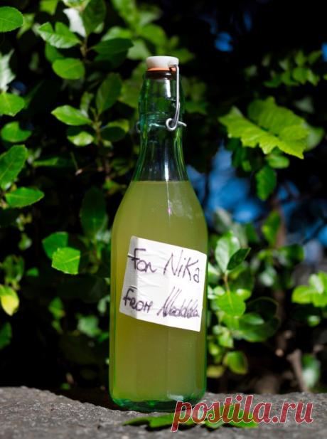 Мандаринелло 




Ликер можно и нужно делать не только на лимонной цедре. На зеленой от самых первых мандаринов, в которой особый состав ароматических масел, он получается не менее интересным, чем лимончелло, но с…